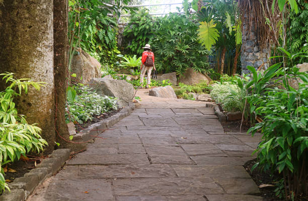 istock Woman walking in the evergreen plants park 1322243849