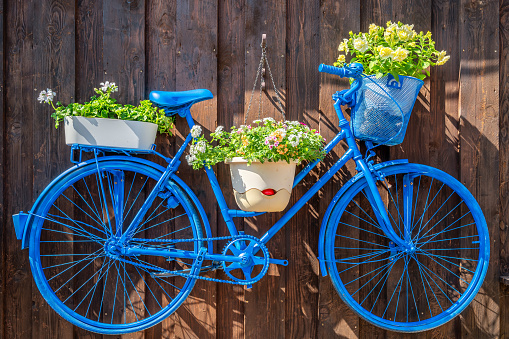 Vintage bicycle with basket full of flowers standing in field