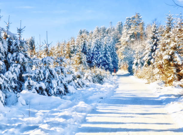 Beautiful winter landscape in the mountains. Cold weather, snow on hills. Black forest, Germany.