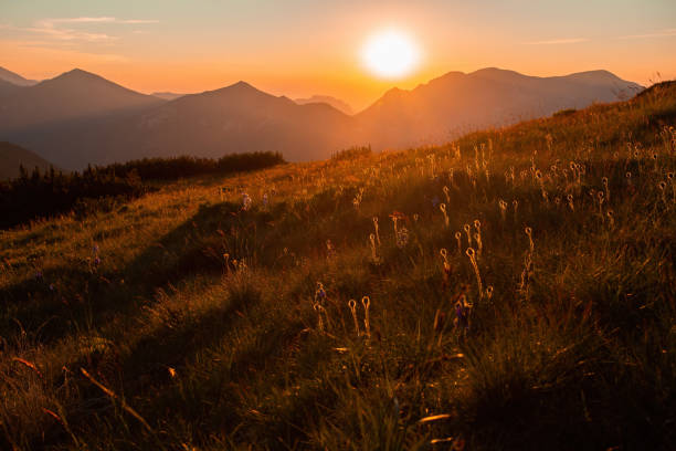 istock Mountains scenery with sun setting on a clear sky in summer 1322254454