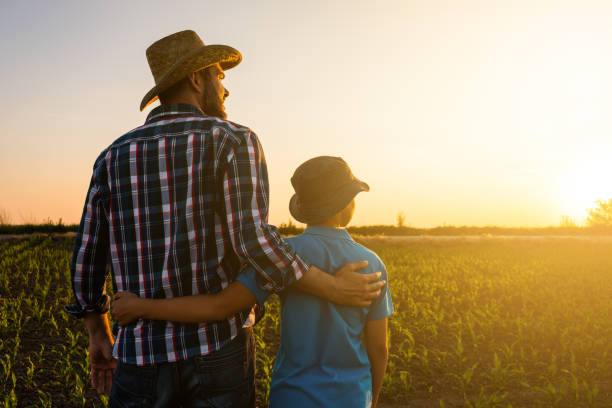 Agriculture Father and son are standing in their growing wheat field. They are happy because of successful sowing and enjoying sunset. son stock pictures, royalty-free photos & images