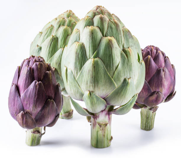 istock Artichoke flower, violet edible bud isolated on white background. 1322255849