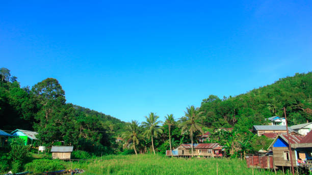 matang kaladan hill, kalimantan południowy, wioska tiwingan lama, dystrykt aranio, banjar regency - kalimantan zdjęcia i obrazy z banku zdjęć