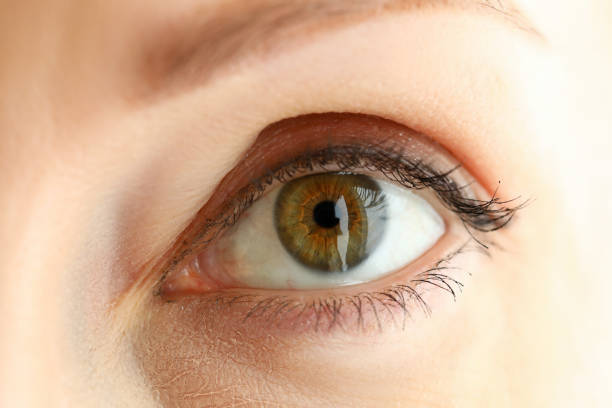 istock Female left orange green coloured amazing eye 1322257714