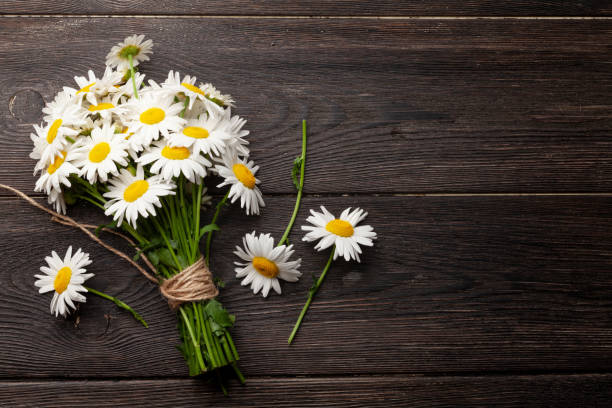 istock Garden camomile flowers bouquet 1322261191