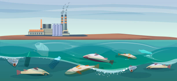 Peces Muertos En Agua Contaminada - Banco de fotos e imágenes de stock - iStock Peces Muertos En Agua Contaminada - Banco de fotos e imágenes de stock - iStock