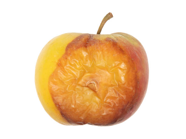 istock Rotten apple isolated on a white background 1322263408