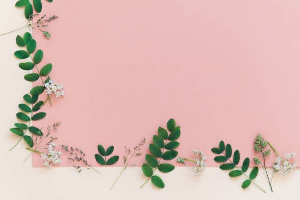 istock color background with plants and flowers, copy space, flat lay 1322263773