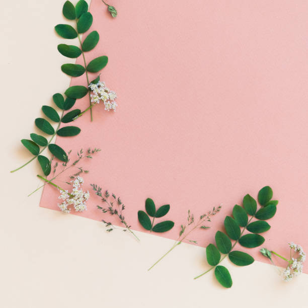 istock color background with plants and flowers, copy space, flat lay 1322263895