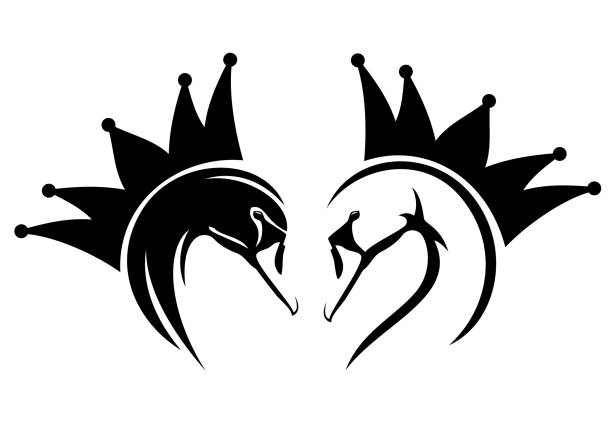 bajka księżniczka łabędź ptak z koroną czarno-biały portret głowy wektora - black swan stock illustrations