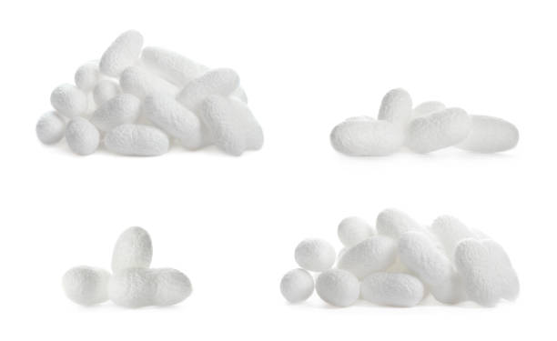 istock Set with natural silkworm cocoons on white background 1322264024