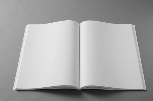 Open blank brochure on light grey background