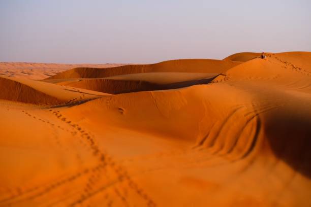 istock Sand Dunes In Desert Against Clear Sky 1322265076