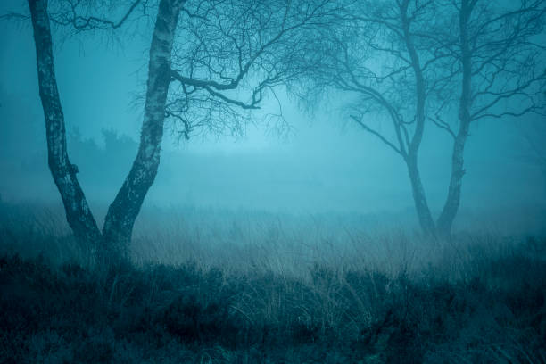 istock View over the misty desolate spooky moors during a foggy winter day 1322267185
