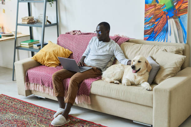 istock Man working online at home 1322269378