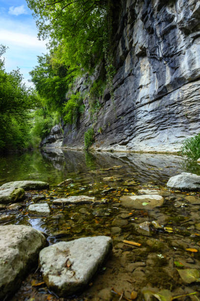 istock Small transparent creek in a sunny day in the forest 1322270028