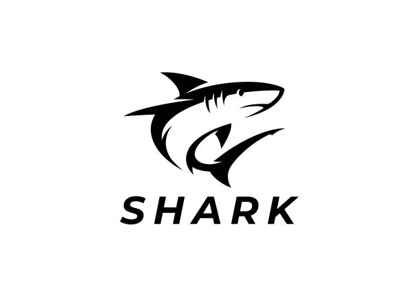 illustrazioni stock, clip art, cartoni animati e icone di tendenza di icona squalo simbolo animale marino - squalo