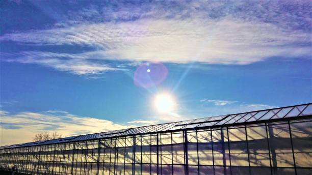istock Greenhouse illuminated by the sunset 1322278996