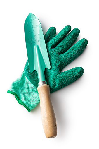 Gardening with her shovel taking out weeds.