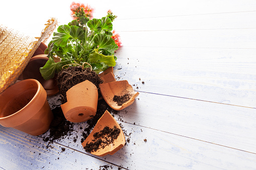 Gardening: Broken Plant Pot and Gardening Equipment