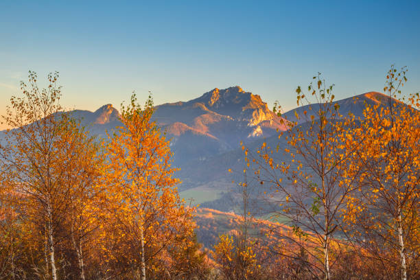 istock Autumn rural landscape with mountains peaks on background. 1322281087