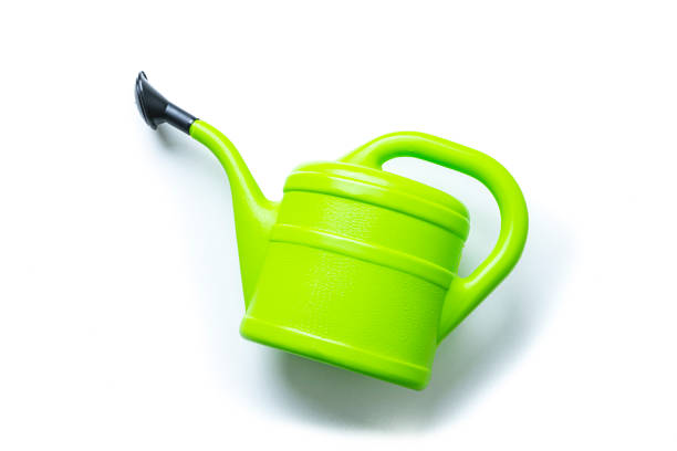 istock Green watering can isolated on white 1322282348