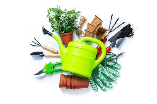 Home gardening tools: overhead view of green gardening equipment isolated on white background. A pot with ivy plant complete the composition.