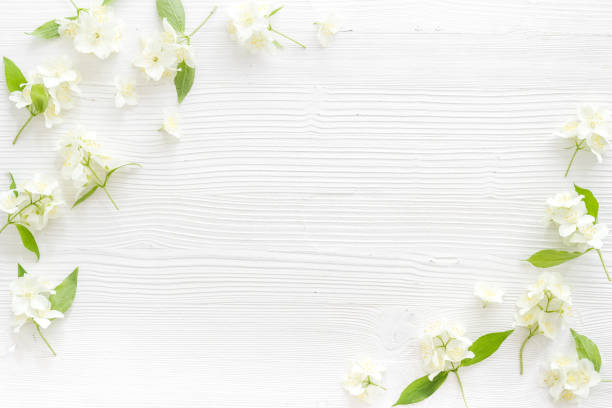 istock Floral frame pattern. Blossom jasmine flowers flat lay. Top view 1322286876
