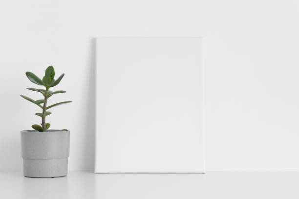 istock White canvas mockup with a succulent plant on the table. 1322291290