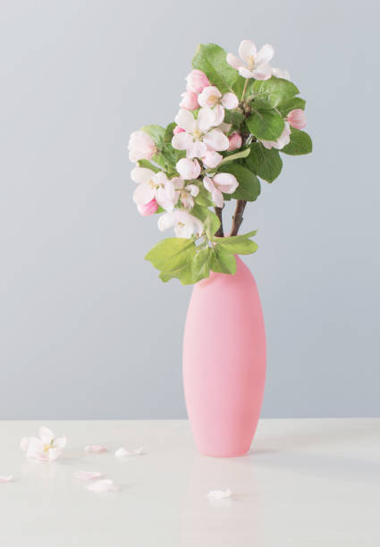 istock branches of  apple tree with flowers in pink vase on white table 1322292329