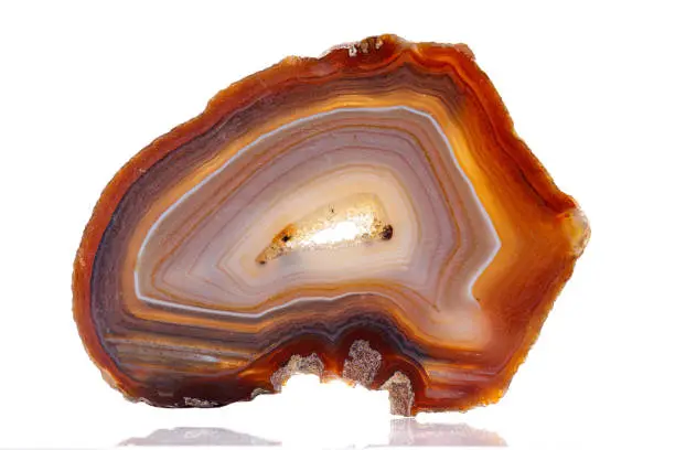 macro mineral stone agate on a white background close up