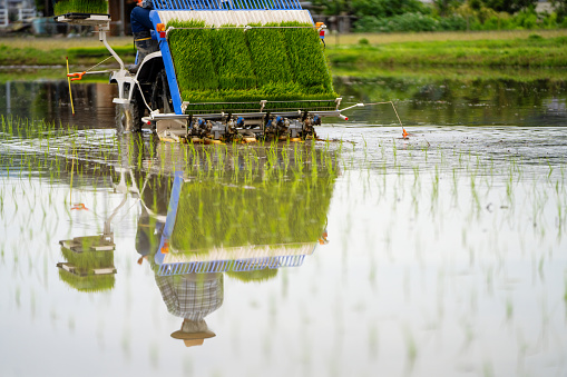 Close-up shot of a rice planting machine planting a crop in rural Japan