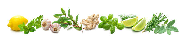 Panoramic background with bunches of fresh garden herbs and spices Panoramic background with bunches of fresh garden herbs and spices isolated on white lime basil plant stock pictures, royalty-free photos & images