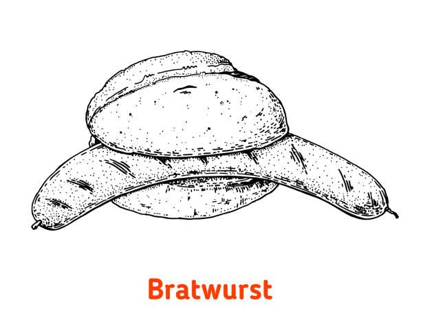 illustrazioni stock, clip art, cartoni animati e icone di tendenza di illustrazione vettoriale tedesca disegnata a mano. elemento di design vintage. illustrazione di schizzo di german food. - meat bratwurst sausage sauerkraut