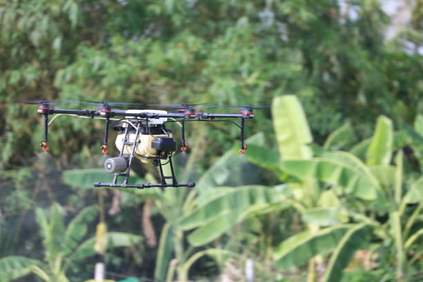 istock Drone spraying insecticide in flight. 1322301476