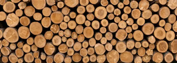 Stack of sawed tree trunks in panoramic close-up - wood industry background