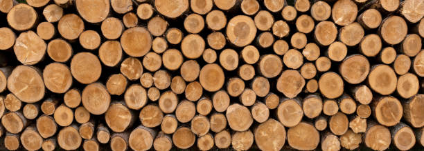 pilha de troncos de árvores serradas em close-up panorâmico - pilha de lenha - fotografias e filmes do acervo