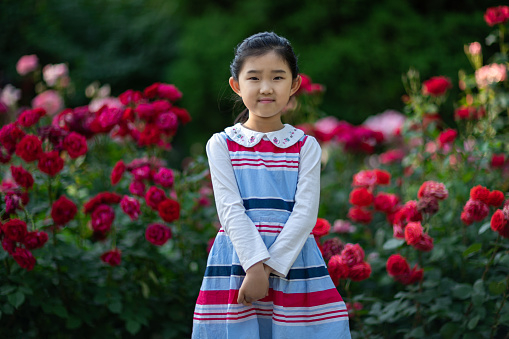 Little Girl Standing Among the Flowers