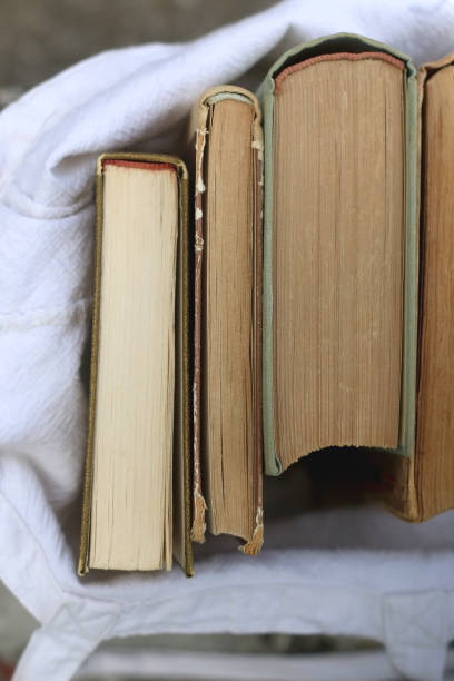 istock Bag of Books 1322304337