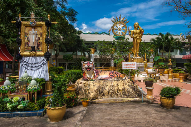 A tiger statue and portrait of the old king of Thailand at the Tiger Cave Temple in Krabi province. Lots of greenery around. A tiger statue and portrait of the old king of Thailand at the Tiger Cave Temple in Krabi province. Lots of greenery around. wat tham sua stock pictures, royalty-free photos & images