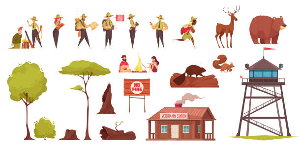 ÐÑÐ½Ð¾Ð²Ð½ÑÐµ RGB Set of colored cartoon icons with forest rangers wild animals trees sign veterinary station isolated on white background vector illustration park ranger stock illustrations