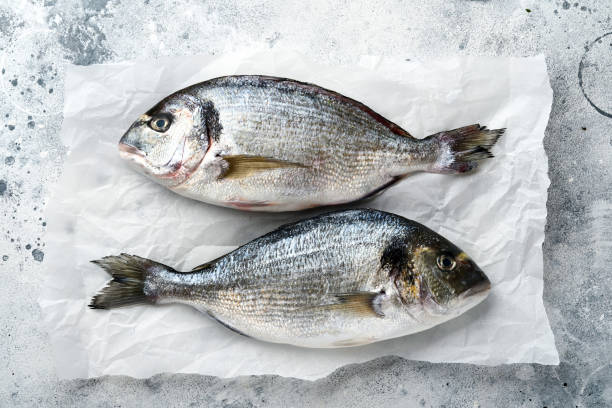 istock Raw dorado fresh fish or sea bream with ingredients for making lemon, thyme, garlic, cherry tomato and salt on light grey slate, stone or concrete background. Top view with copy space. 1322307746