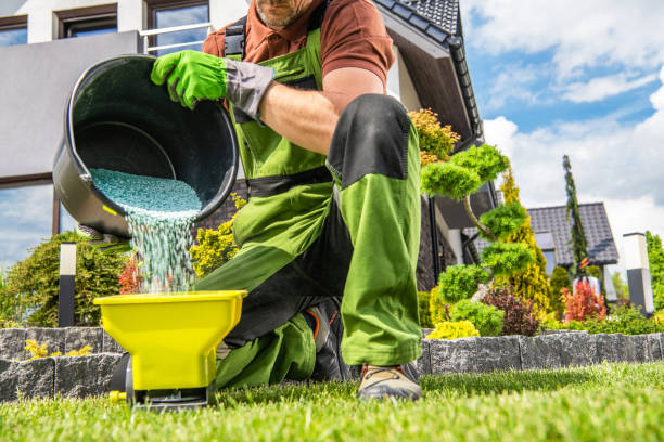 gartenarbeiter bereitet grasdünger vor - dünger stock-fotos und bilder