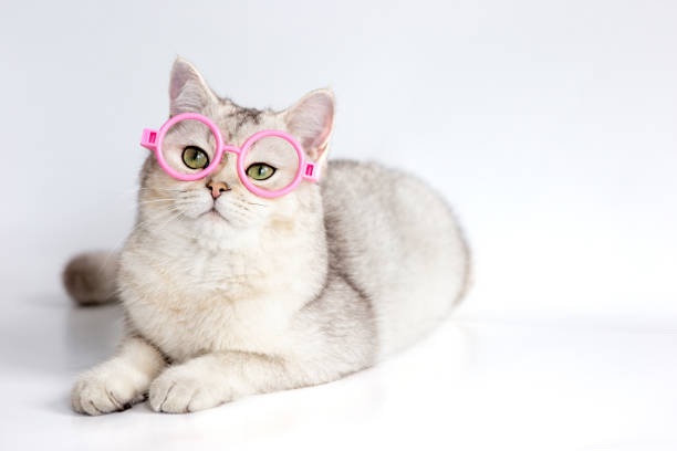Summer sunglasses on a pink background
