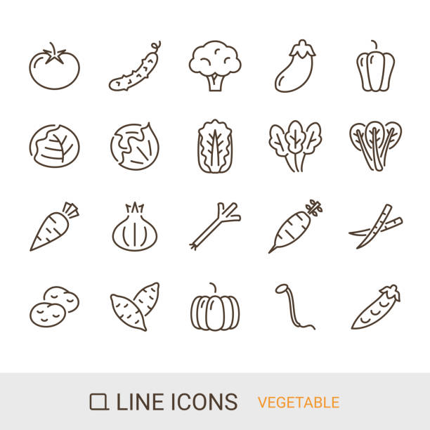 제품 아이콘, 야채, 라인 아이콘 - eggplant vegetable food white background stock illustrations