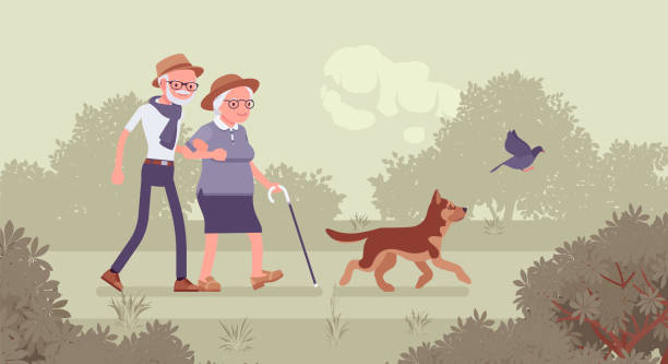 Active seniors, happy healthy elderly people walking through the park Active seniors, happy healthy elderly people walking through the park. Couple of older adults enjoying together outdoor park promenade with pet dog. Beautiful summer, spring nature scenery background senior dog stock illustrations