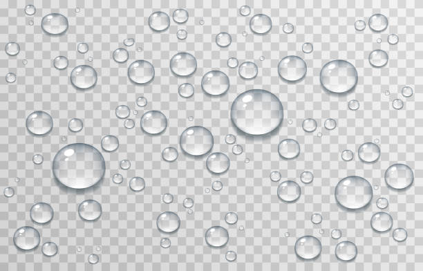 векторные капли воды. png капли, конденсат на окне, на поверхности. реалистичные капли на изолированном прозрачном фоне. векторные капли воды - water stock illustrations