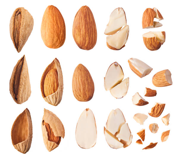 Fresh raw almond. Organic healthy snack Set with fresh raw almonds. almond tree stock pictures, royalty-free photos & images