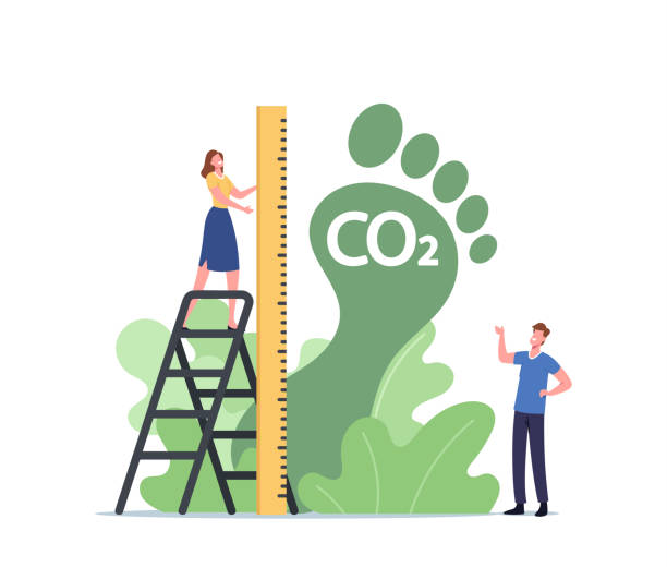 ilustraciones, imágenes clip art, dibujos animados e iconos de stock de el pequeño personaje femenino mide el enorme pie verde, la contaminación de la huella de carbono, el concepto de impacto ambiental de emisiones de co2 - measuring