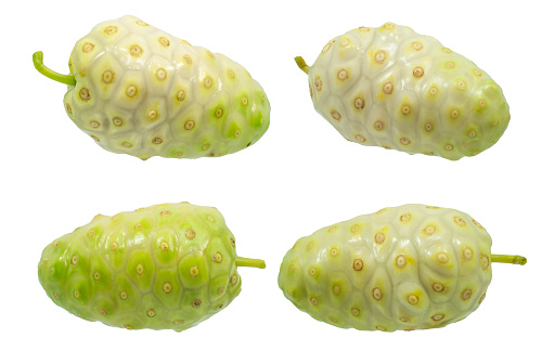 Noni or Morinda fruits isolated on white